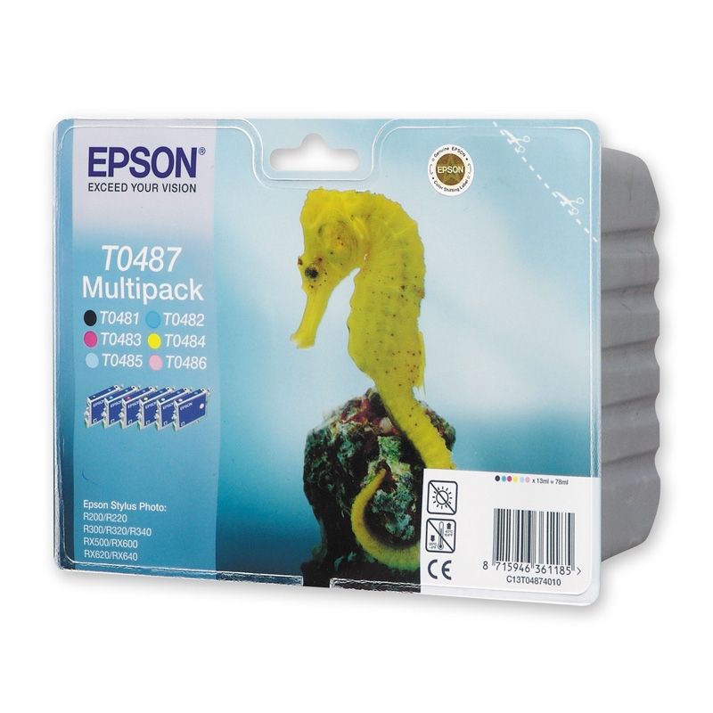Картридж Epson C13T04874010